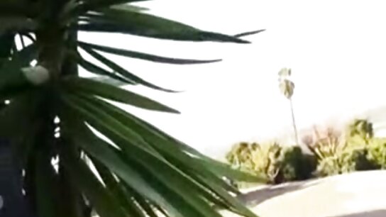 یک زوج جذاب با میل ز ...